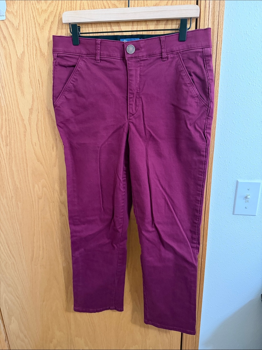 Democracy Cropped AbSolution in Berry Plum